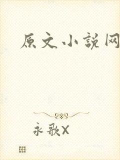 原文小说网