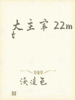 大主宰 22mt