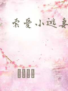 索爱小逃妻