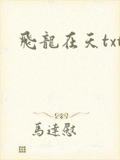 飞龙在天txt