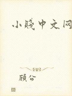 小贱中文网