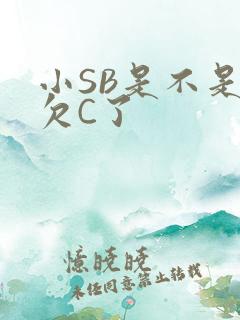 小SB是不是又欠C了