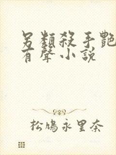 另类杀手艳福星有声小说