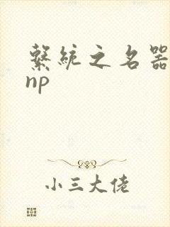 系统之名器攻略np