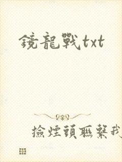 镜龙战txt