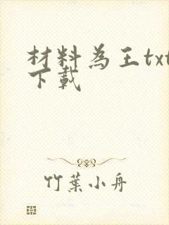 材料为王txt下载