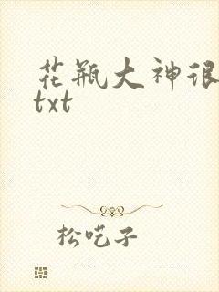 花瓶大神很菜鸟txt