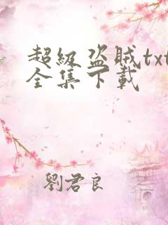 超级盗贼txt全集下载