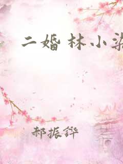二婚 林小染