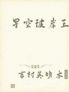 星空彼岸王轩