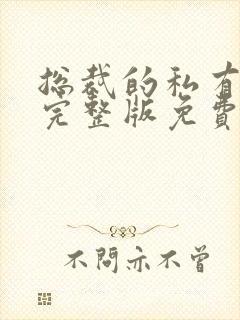 总裁的私有宝贝完整版免费阅读