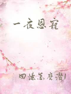 一夜恩宠