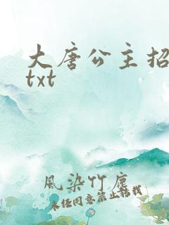 大唐公主招亲记txt