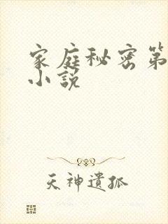 家庭秘密第3集小说