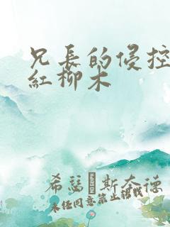 兄长的侵控by红柳木