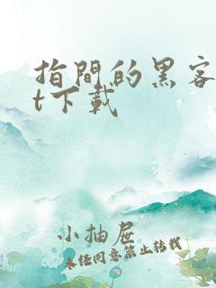 指间的黑客txt下载