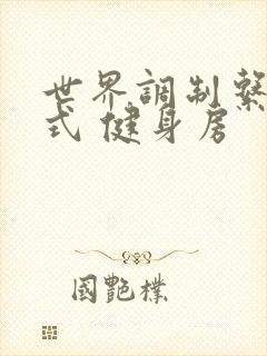 世界调制系统模式 健身房