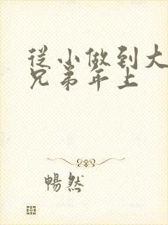 从小做到大骨科兄弟年上