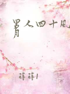 男人四十风花雪月