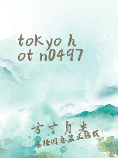 tokyo hot n0497