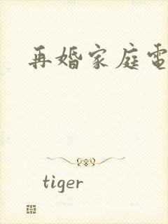 再婚家庭电视剧