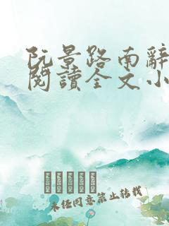 阮景路南辞免费阅读全文小说