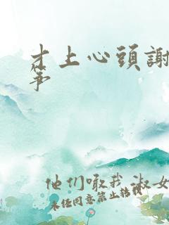 才上心头谢柳陆筝