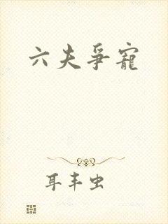 六夫争宠