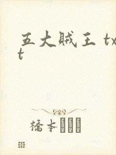 五大贼王 txt