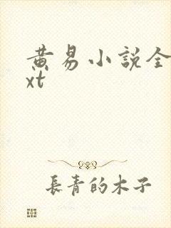 黄易小说全集txt