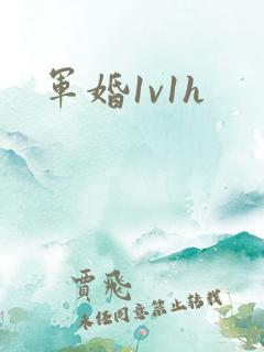 军婚1v1h