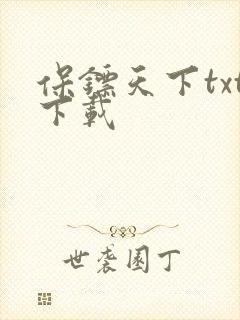 保镖天下txt下载