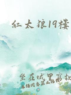 红太狼19楼