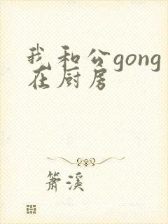 我和公gong在厨房