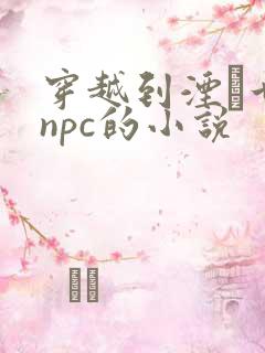 穿越到湮婸世界npc的小说