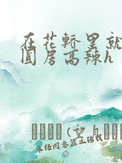 在花轿里就开始圆房高辣h