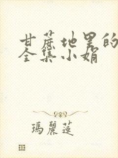 甘蔗地里的公熄全集小娟