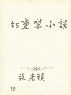 ts变装小说