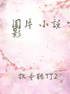 图片 小说 电影