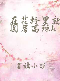 在花轿里就开始圆房高辣h