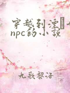 穿越到湮婸世界npc的小说