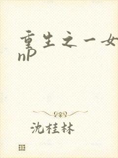 重生之一女九龙nP