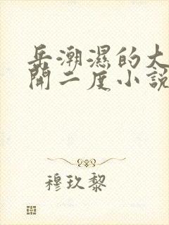 岳潮湿的大肥梅开二度小说