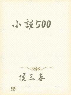 小说500