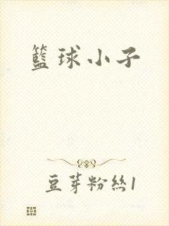 篮球小子