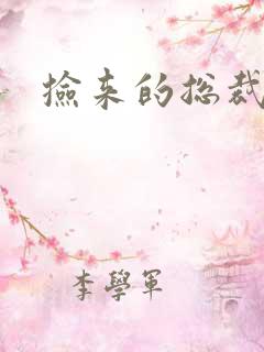 捡来的总裁儿子