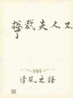 总裁夫人又征婚了