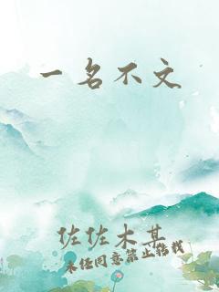 一名不文