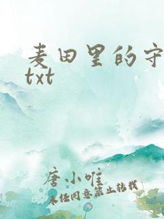 麦田里的守望者txt