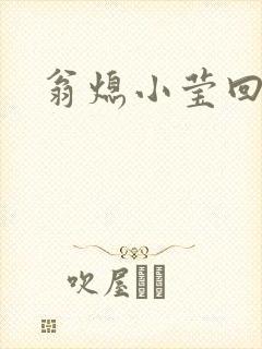 翁熄小莹回乡下